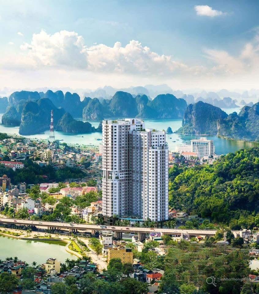 Hình ảnh chi tiết dự án