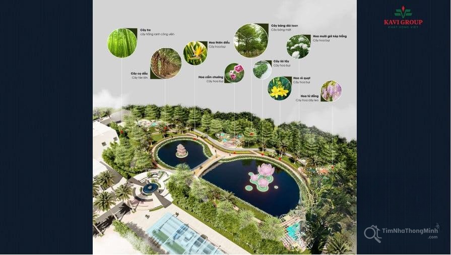 Hình ảnh chi tiết dự án
