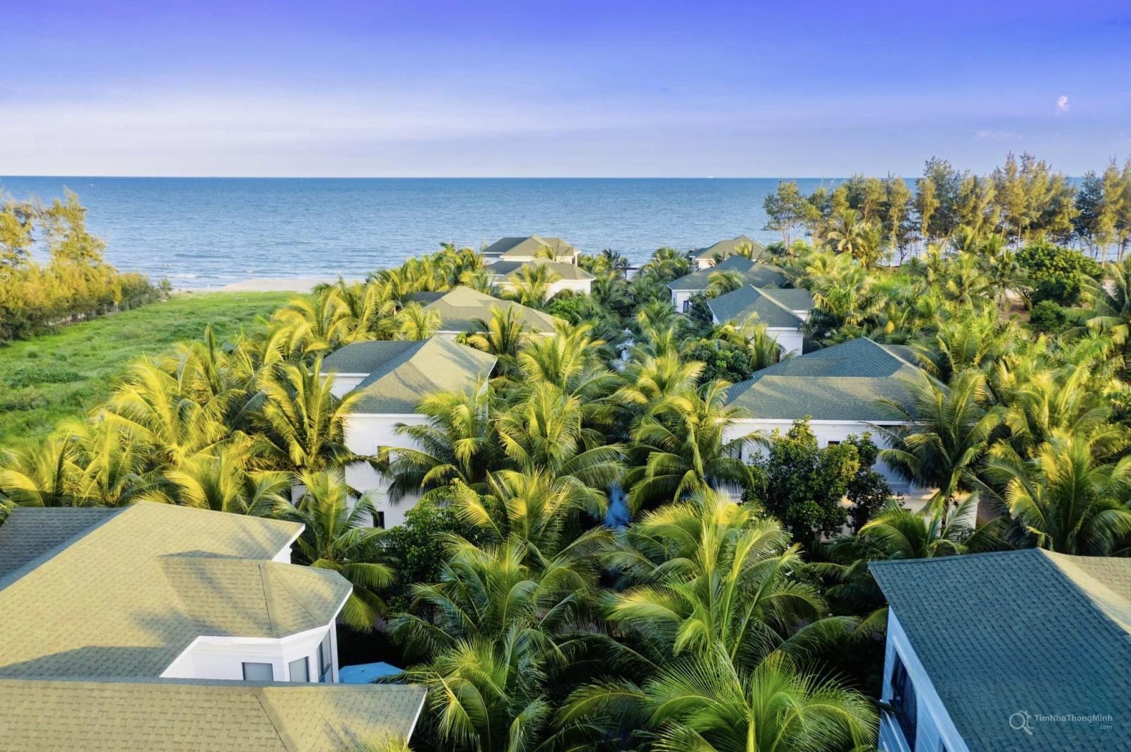 Chi tiết dự án