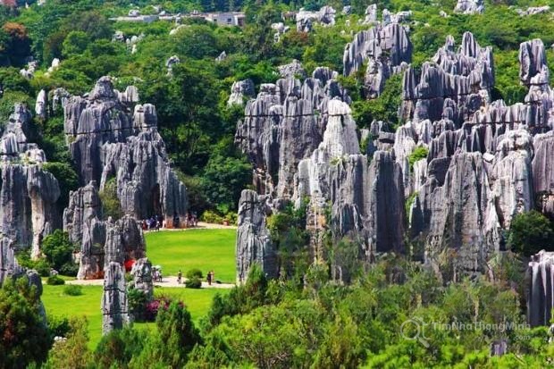 Hình ảnh chi tiết dự án