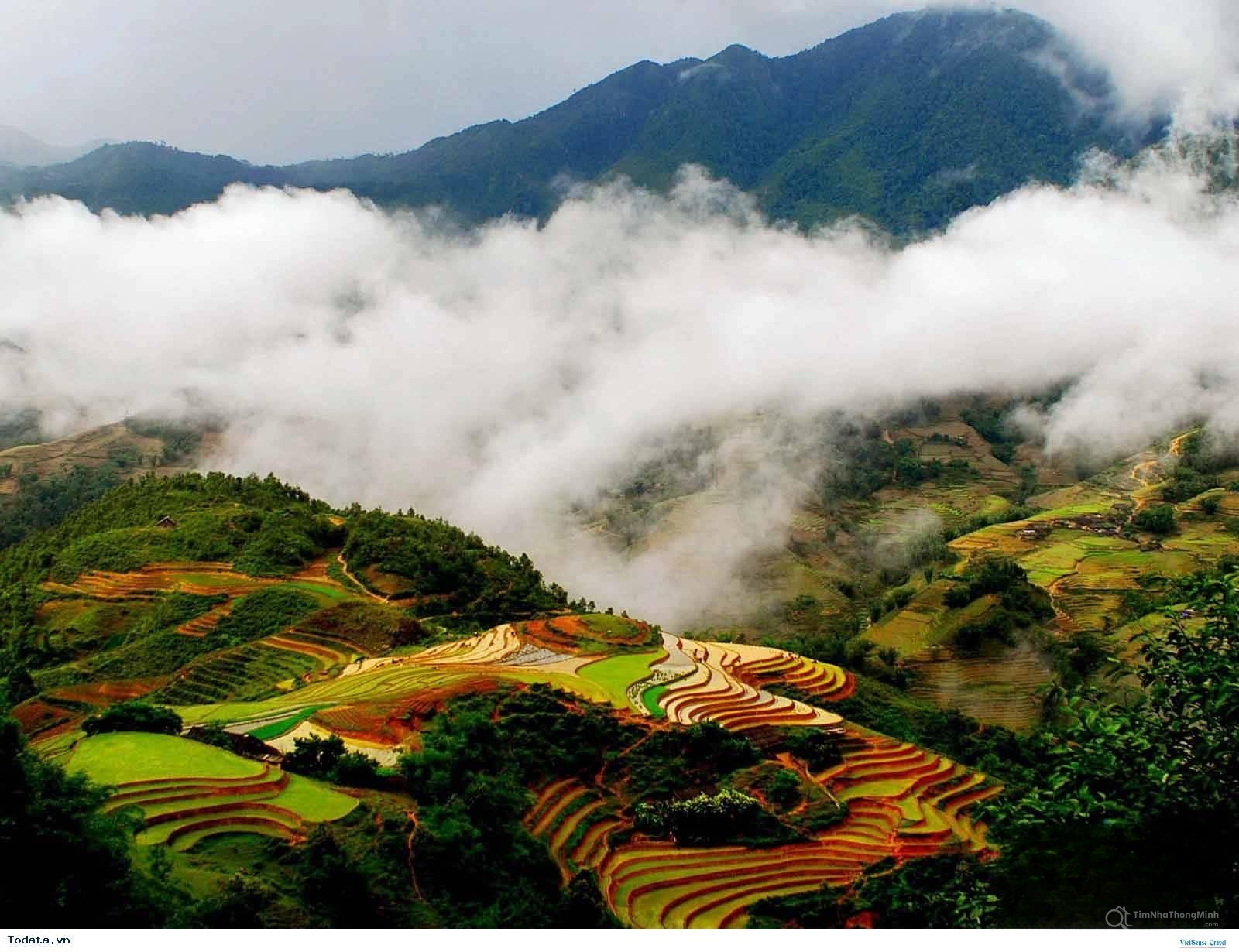 Hình ảnh chi tiết dự án