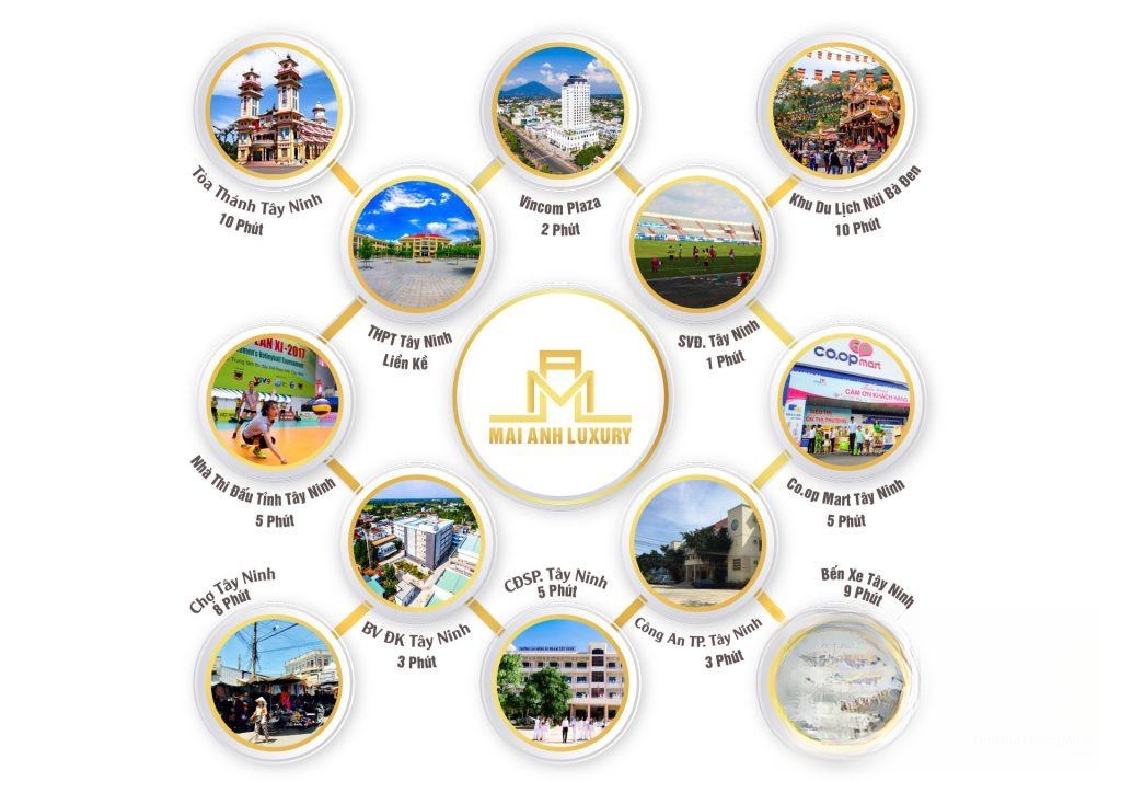 Hình ảnh chi tiết dự án