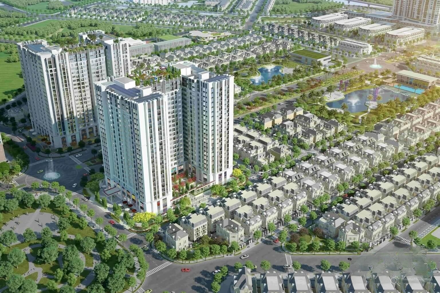 Chi tiết dự án