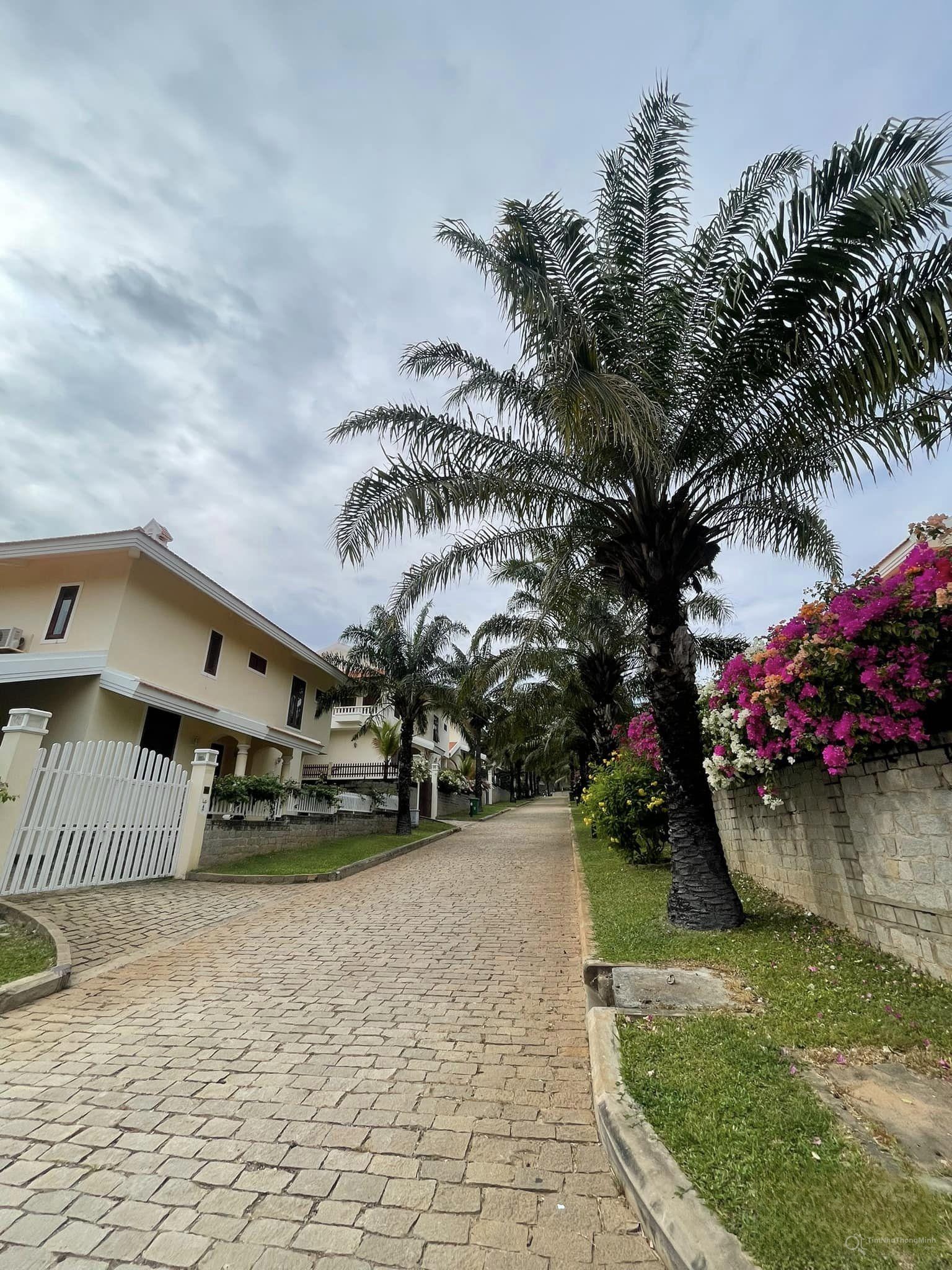 Chi tiết dự án