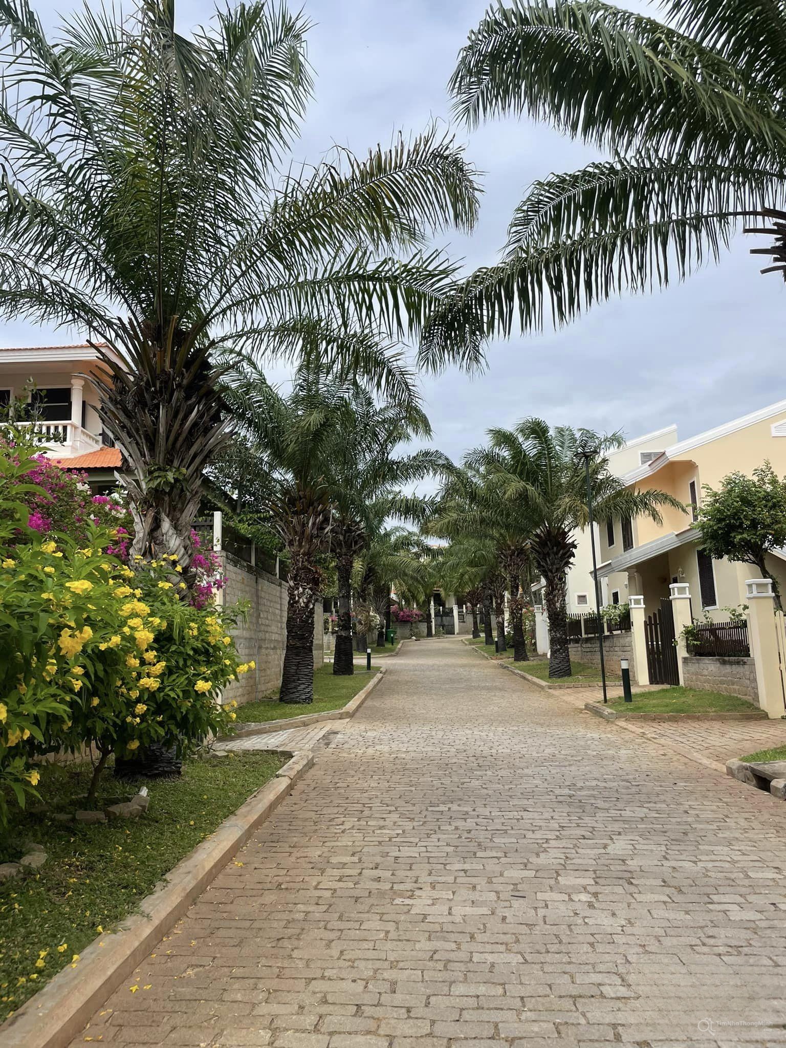 Chi tiết dự án