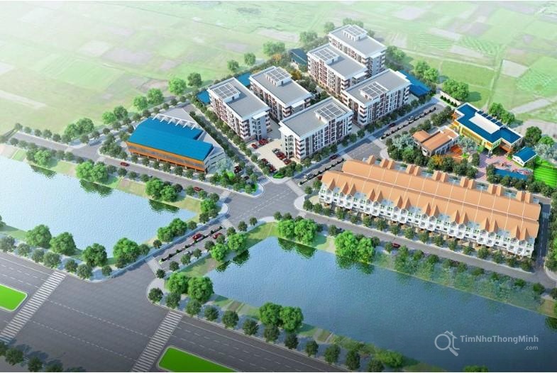 Chi tiết dự án