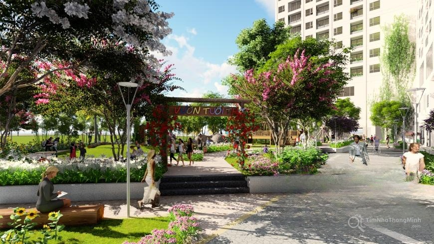 Chi tiết dự án