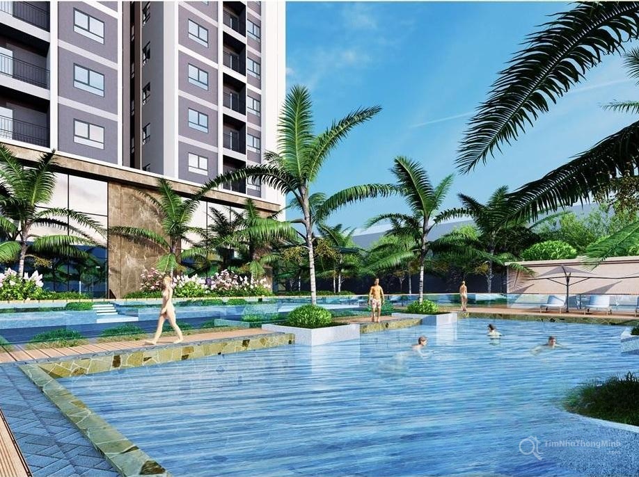Chi tiết dự án