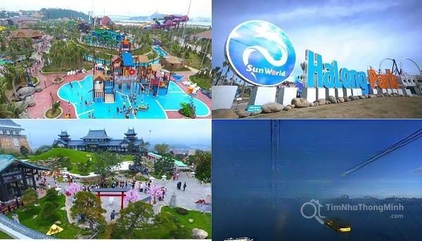 Chi tiết dự án