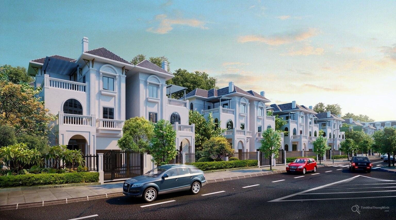 Chi tiết dự án