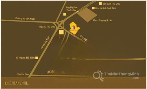 Chi tiết dự án