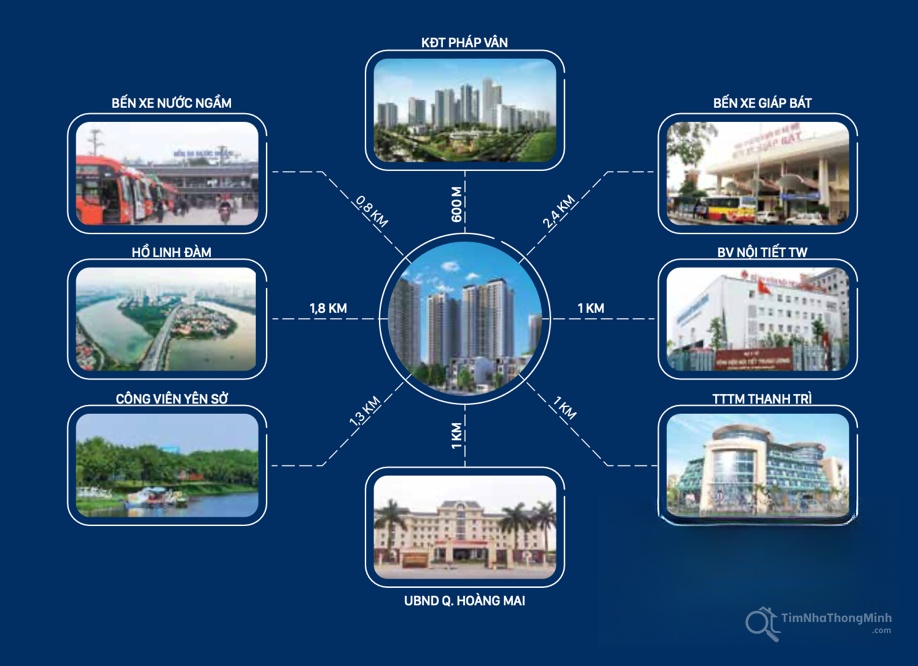 Chi tiết dự án