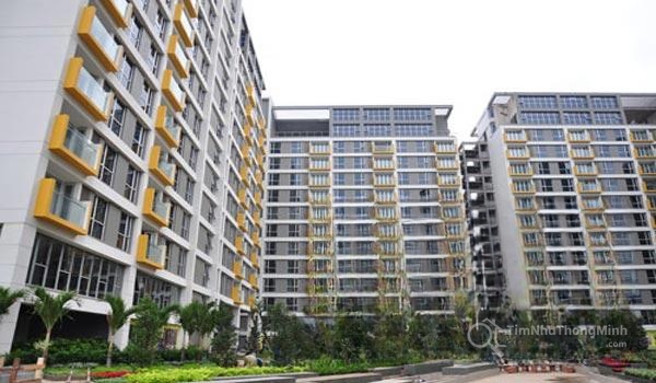 Chi tiết dự án