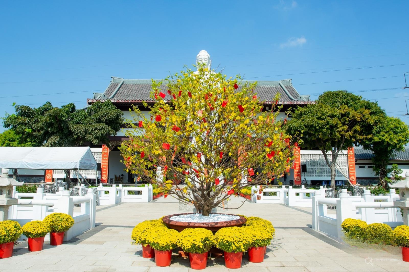 Hình ảnh chi tiết dự án