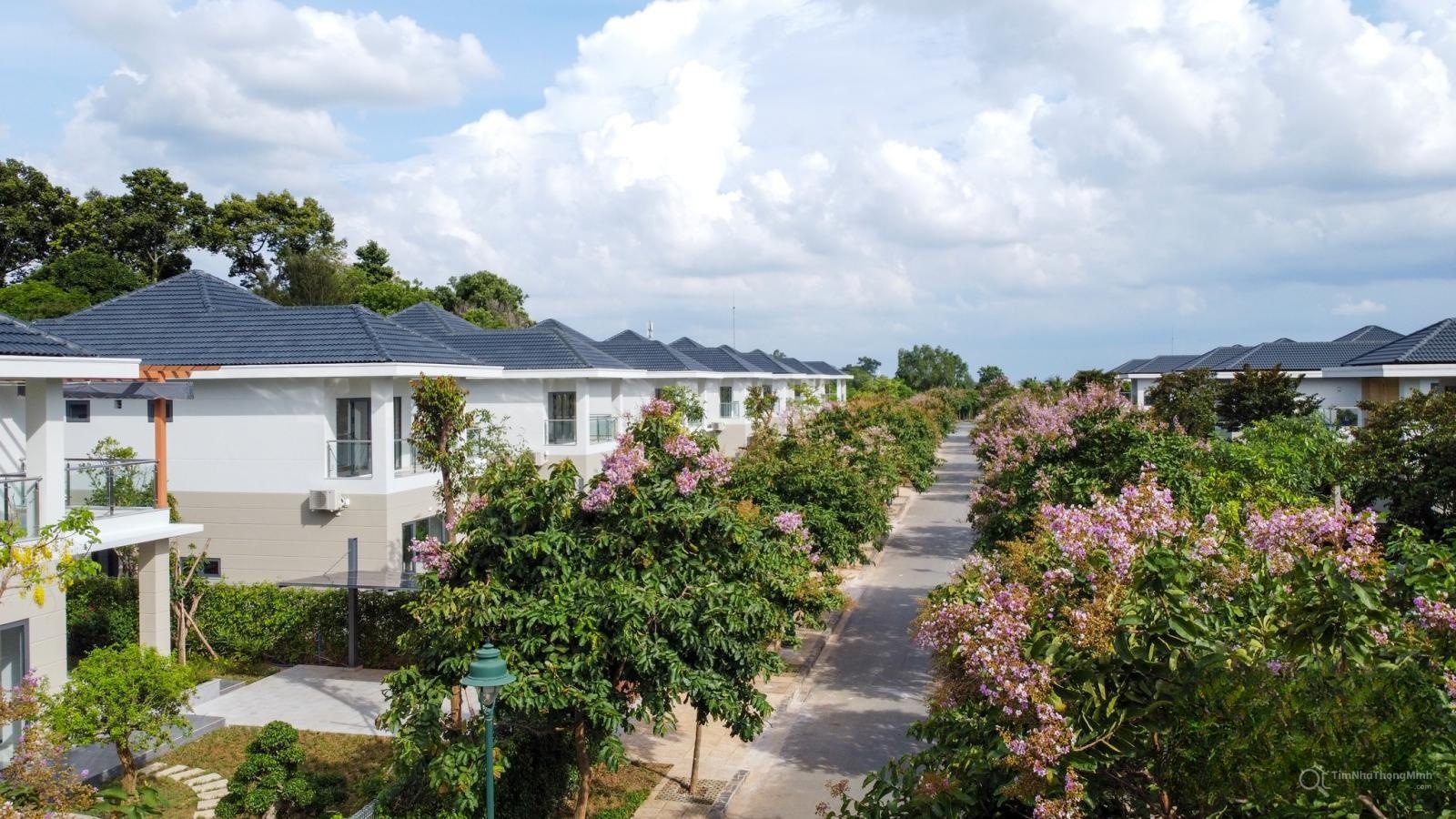 Saigon Villas Hill - Hình ảnh bất động sản 1/6