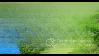 Sentosa Riverside Quảng Nam - Hình ảnh bất động sản 1/9