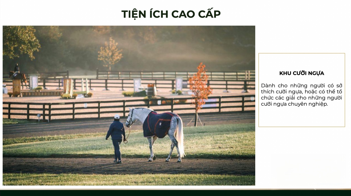 Hình ảnh chi tiết dự án