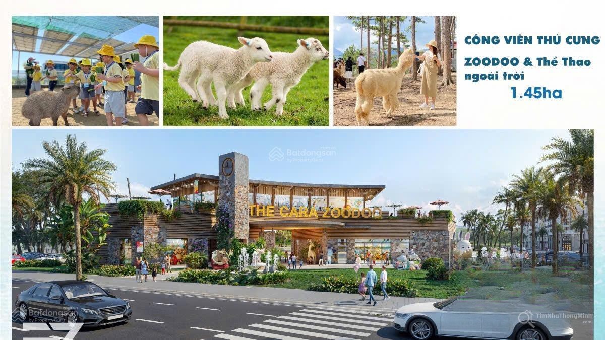 Hình ảnh chi tiết dự án