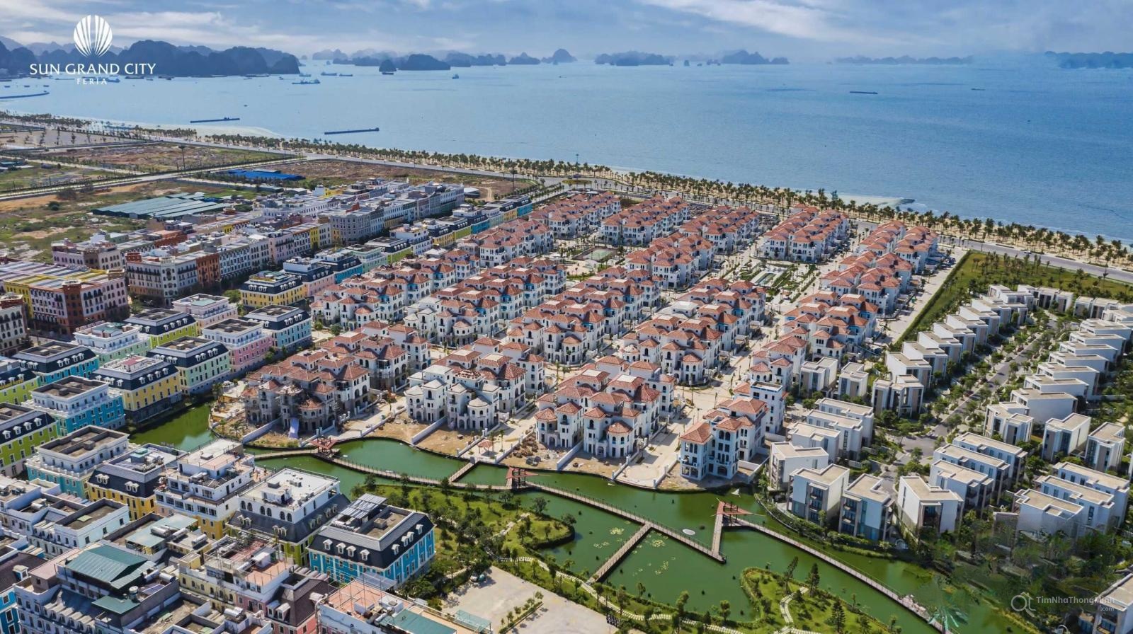 Chi tiết dự án
