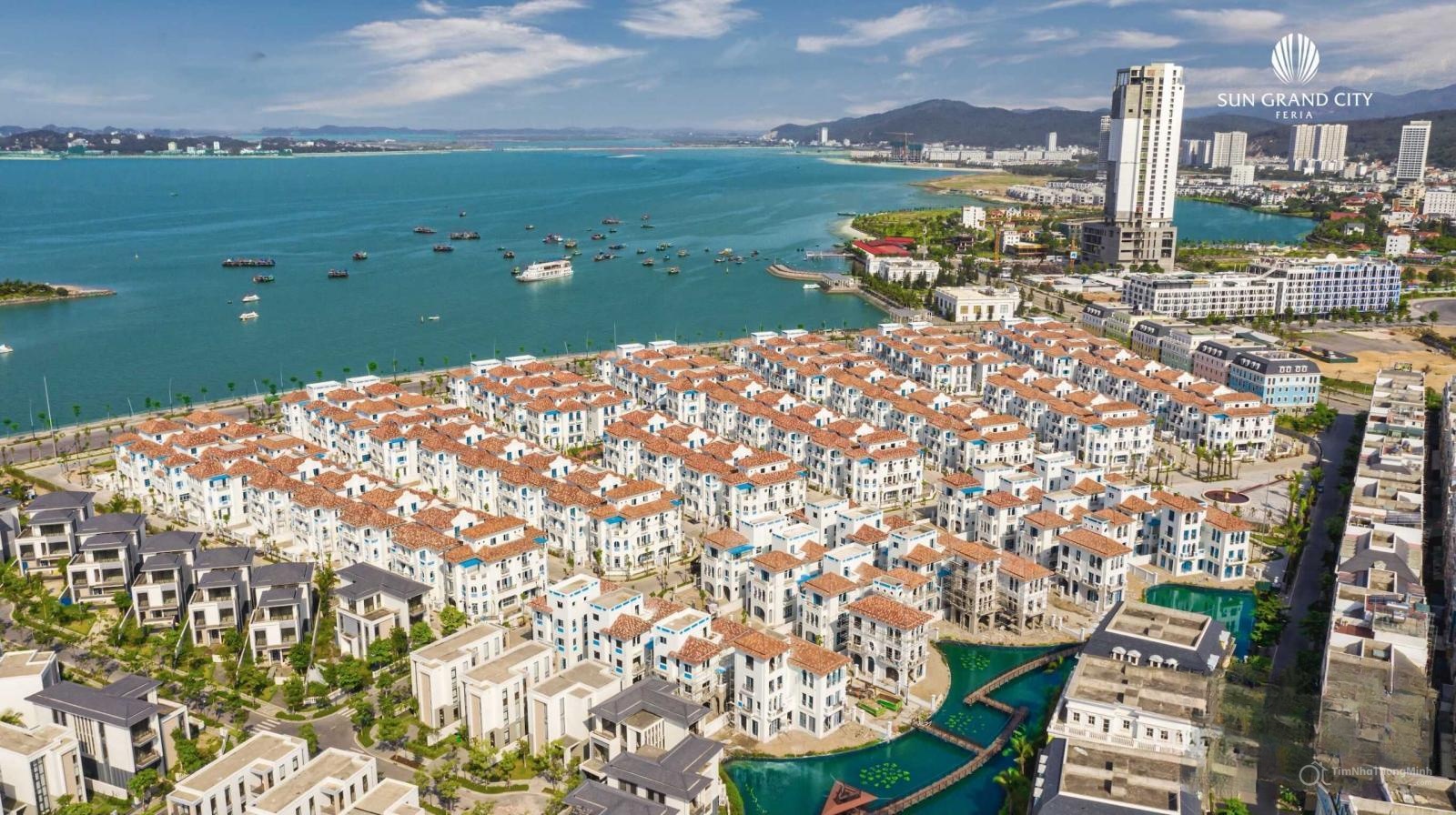 Chi tiết dự án