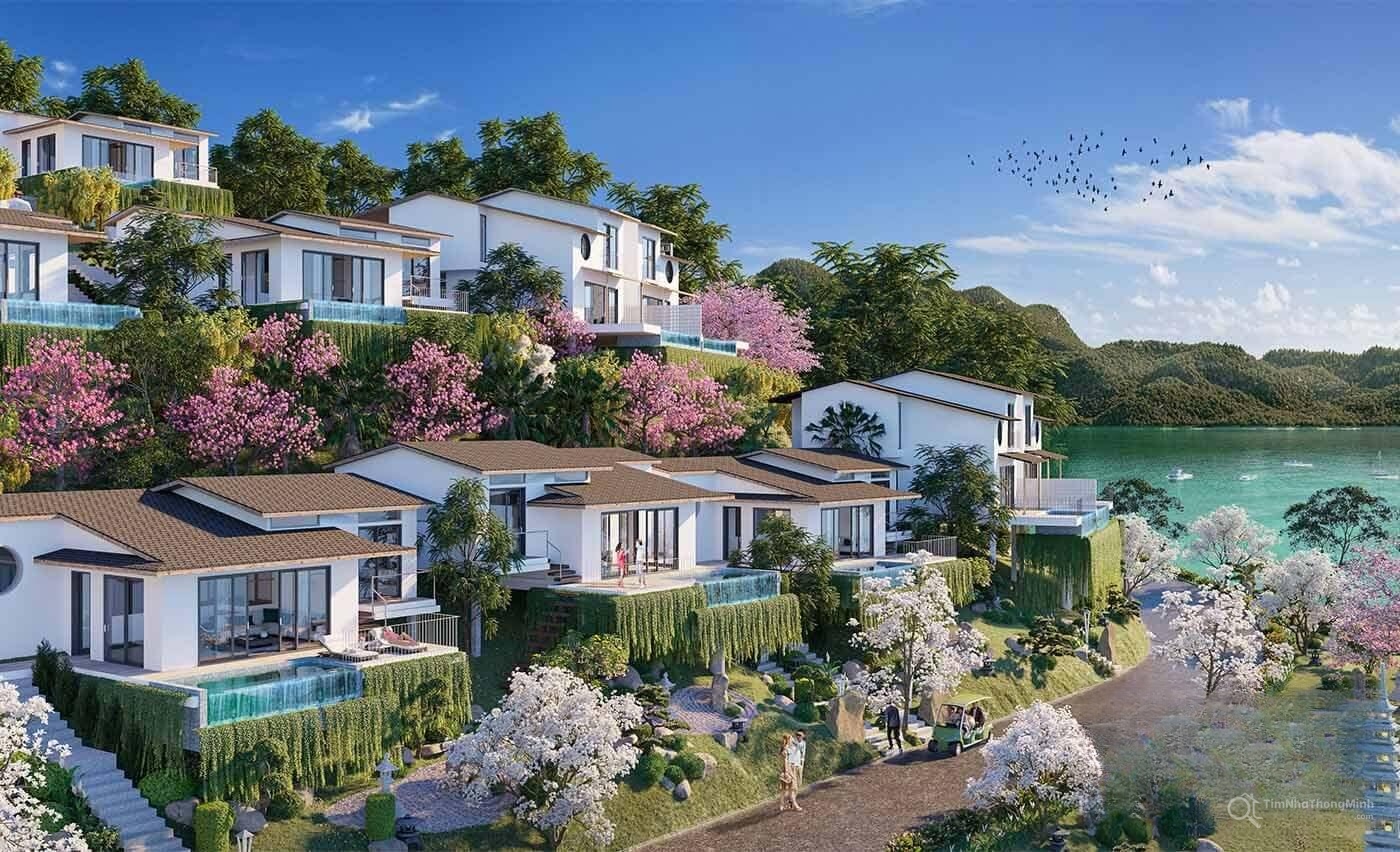 Chi tiết dự án