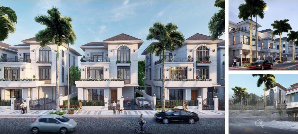 Chi tiết dự án