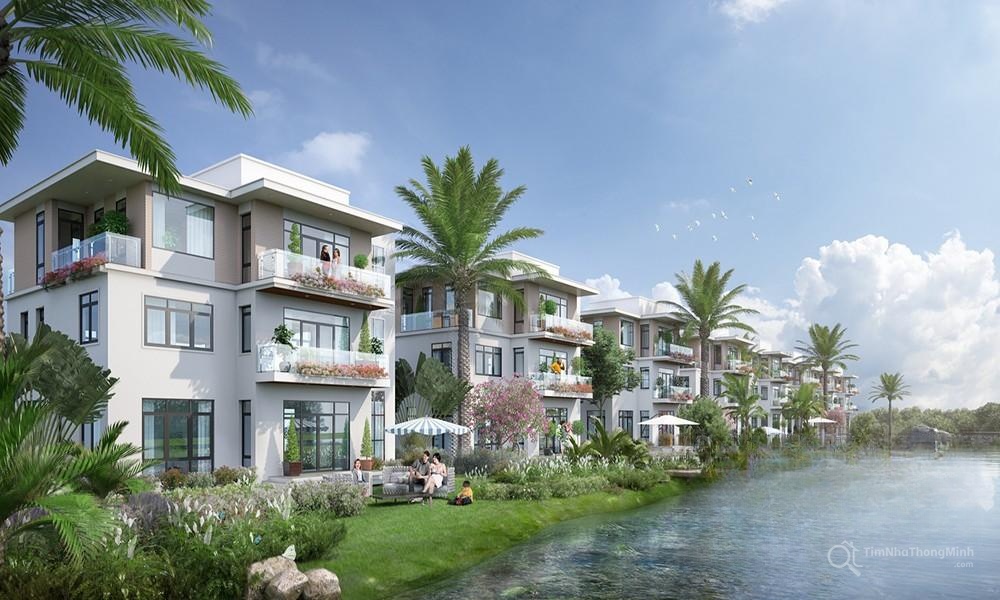 Chi tiết dự án
