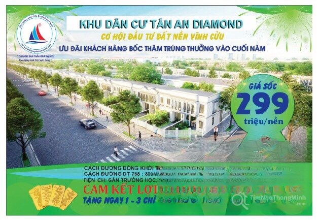 Tân An Diamond - Hình ảnh bất động sản 1/3