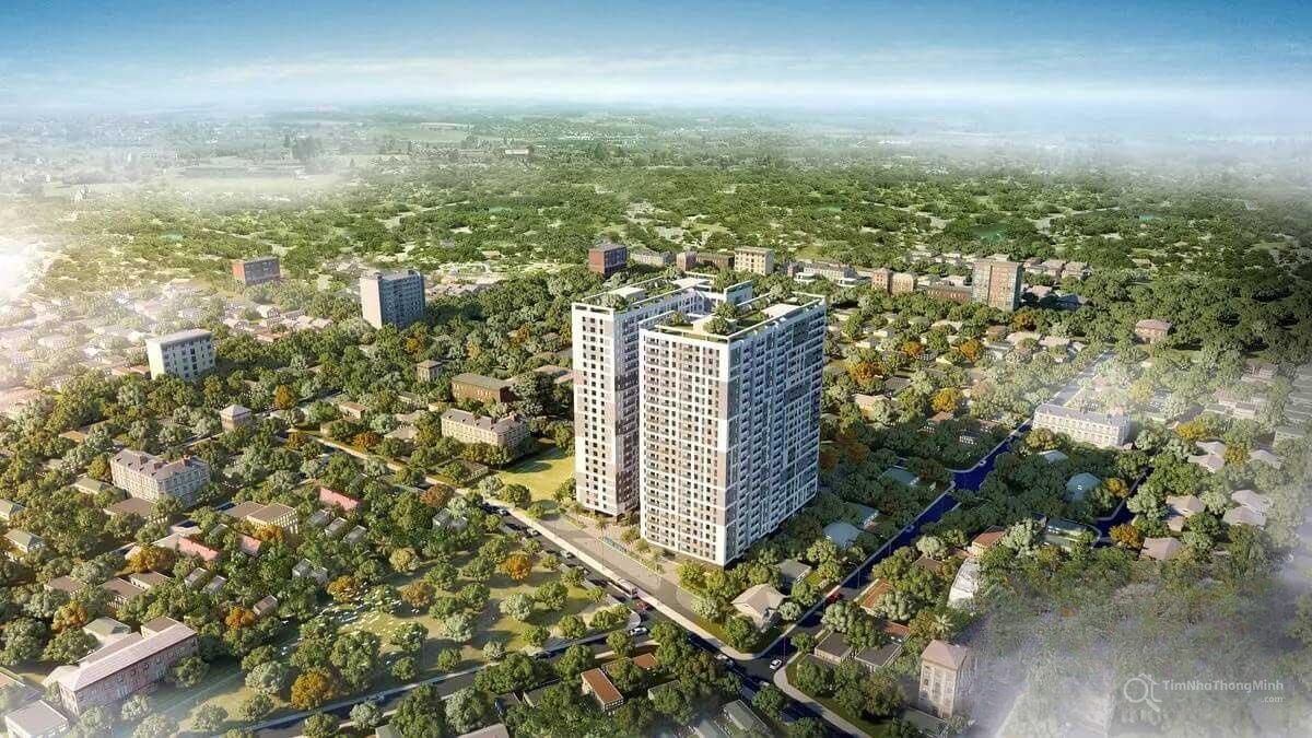 Chi tiết dự án