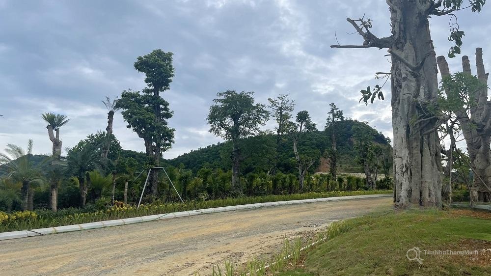 Hình ảnh chi tiết dự án