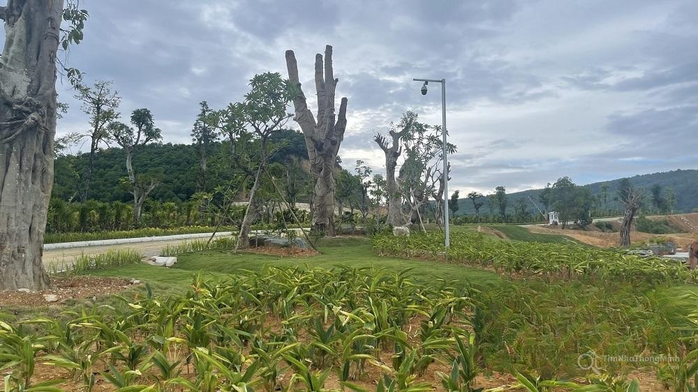 Hình ảnh chi tiết dự án