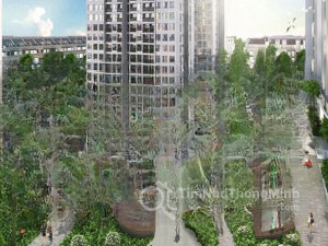Hình ảnh chi tiết dự án