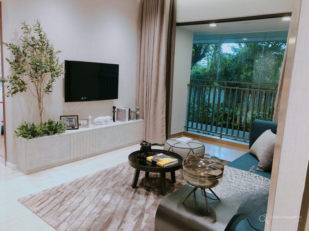 Chi tiết dự án