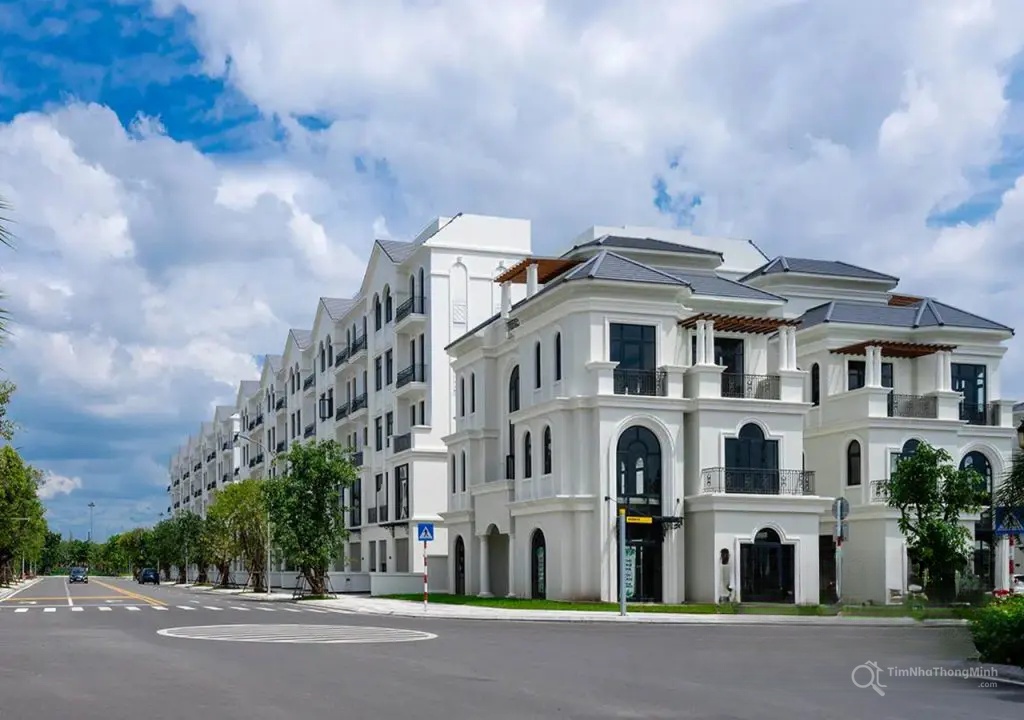 Chi tiết dự án