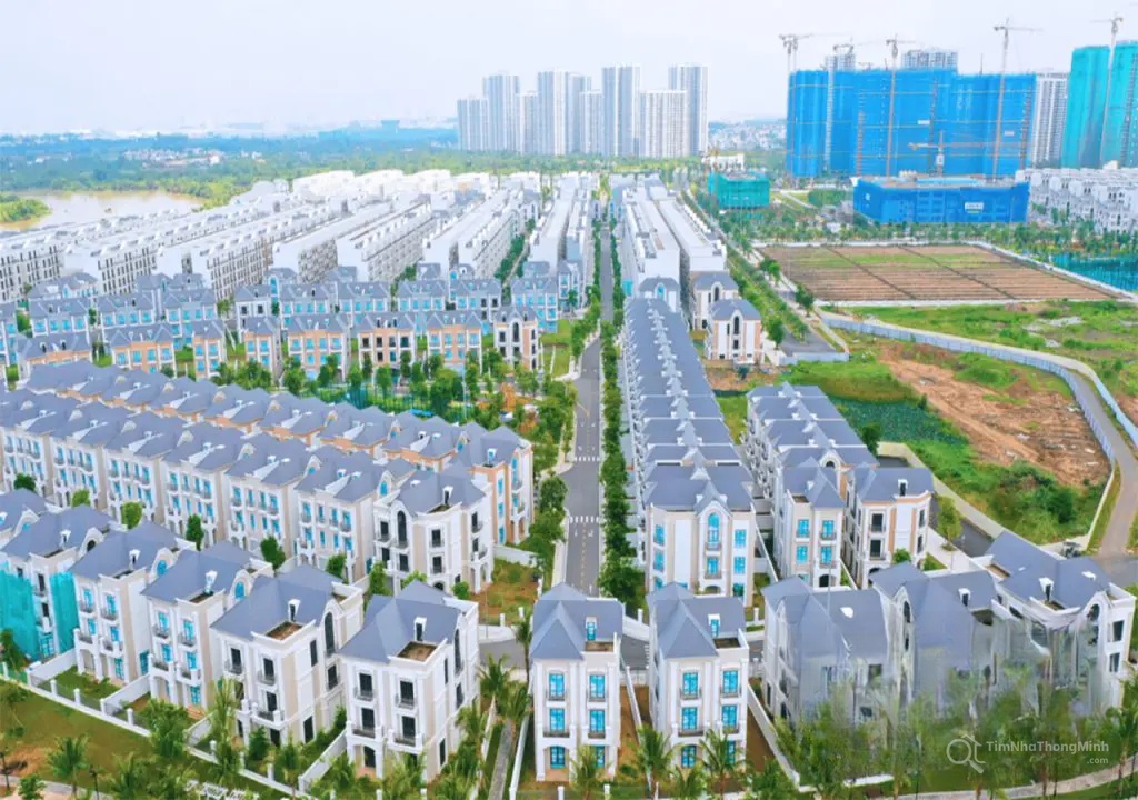 Chi tiết dự án