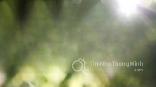 The Mansions - Hình ảnh bất động sản 1/9