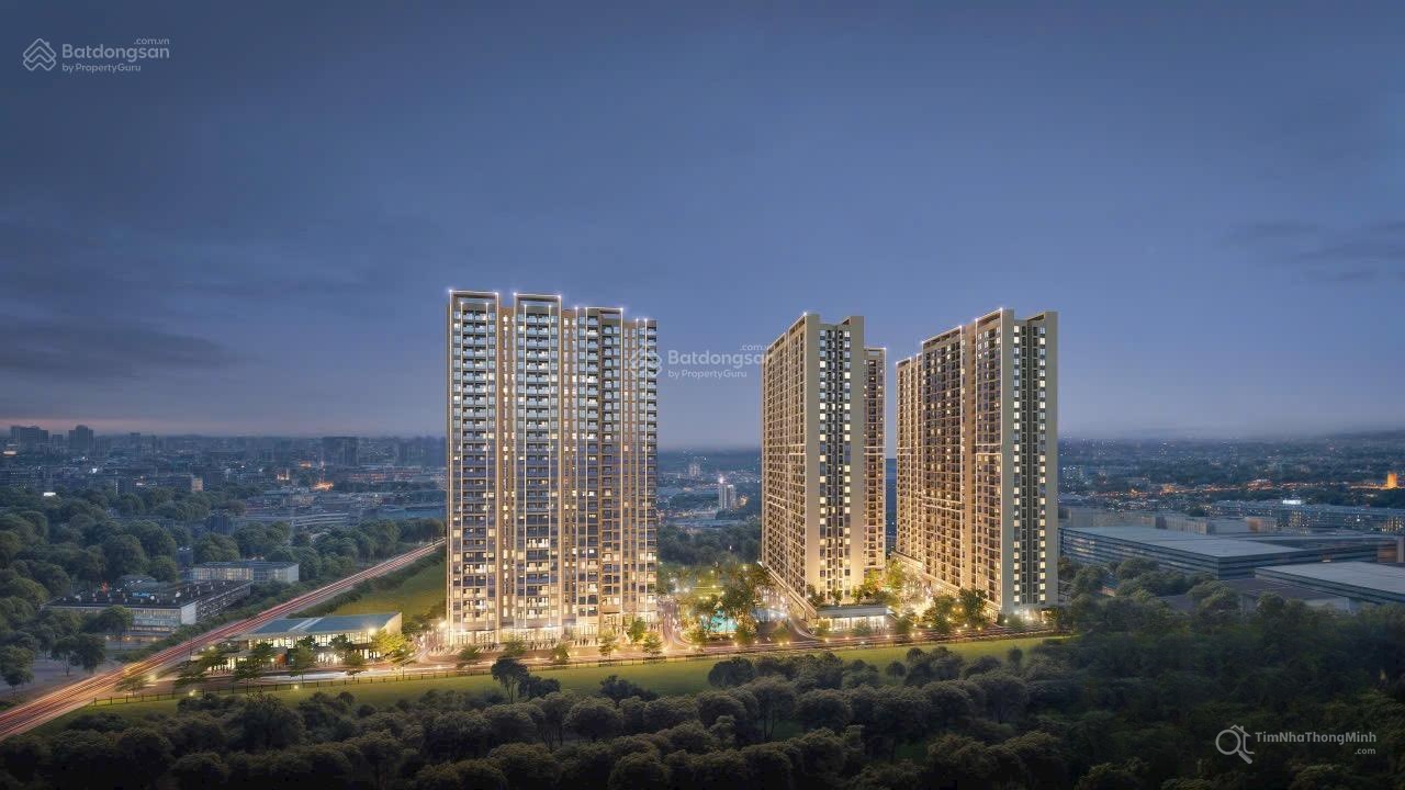 Chi tiết dự án