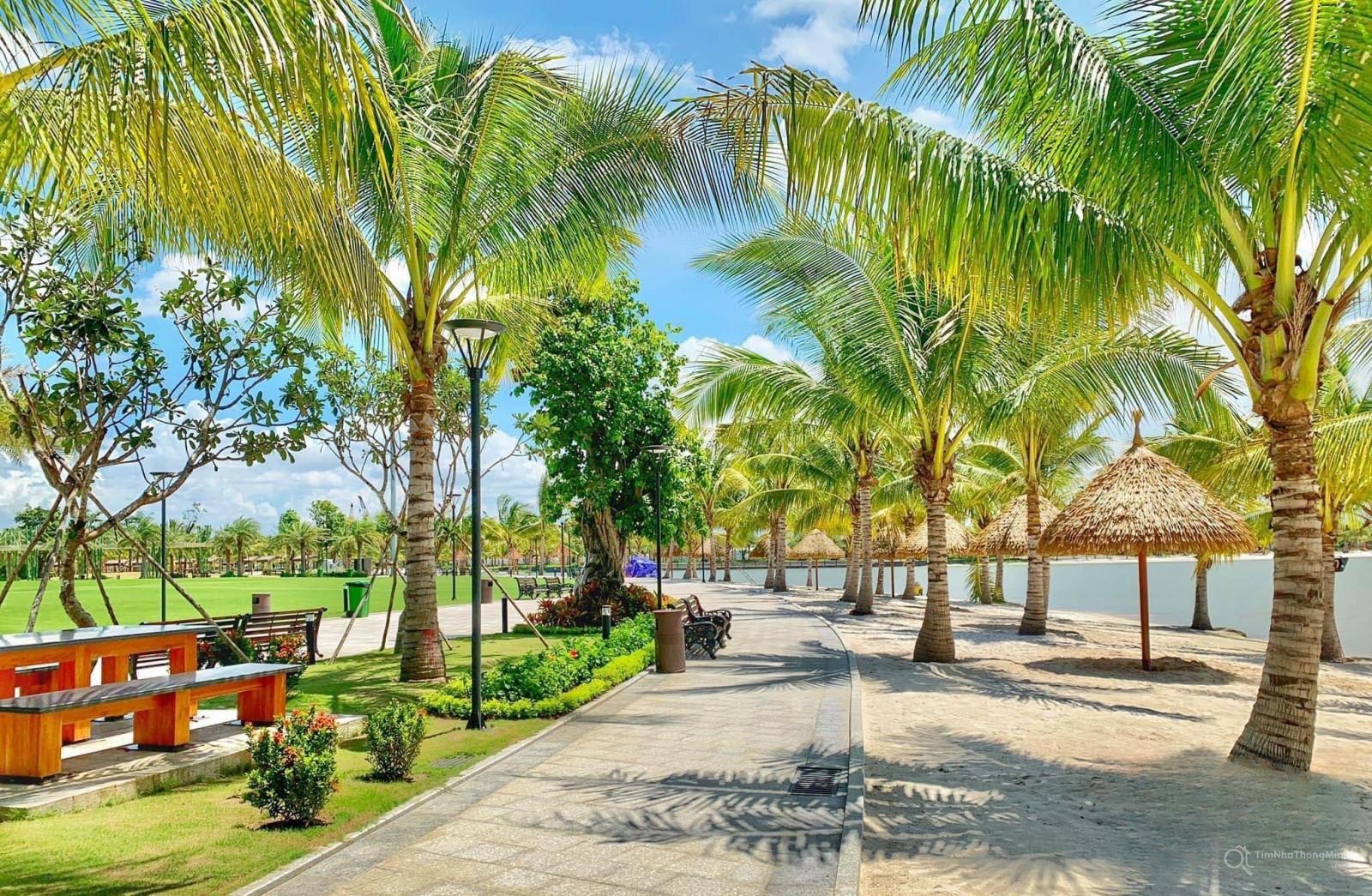 Chi tiết dự án