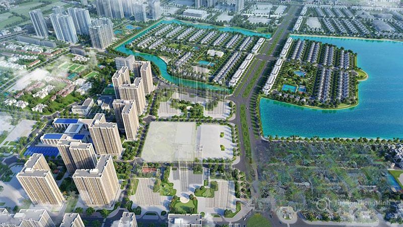 Chi tiết dự án