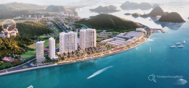 Hình ảnh chi tiết dự án