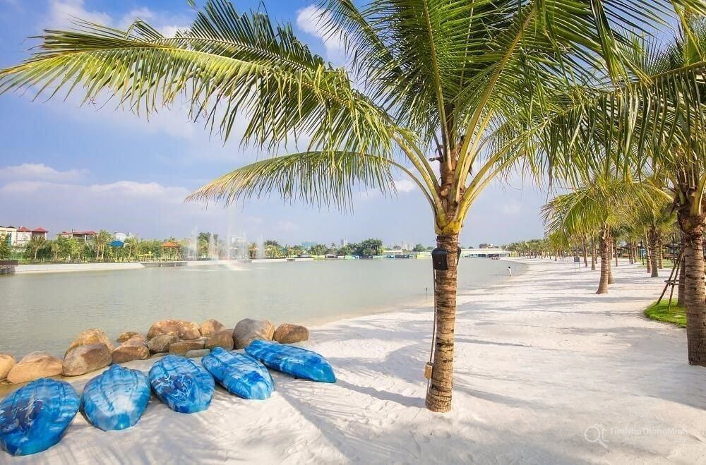 Chi tiết dự án