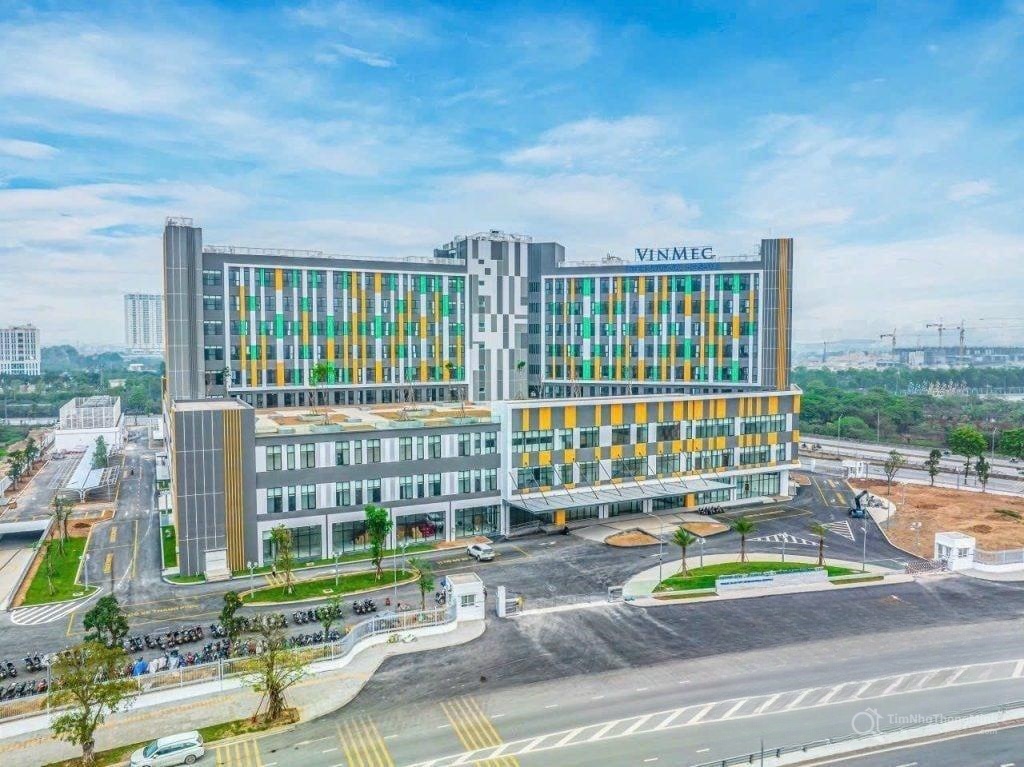 Chi tiết dự án