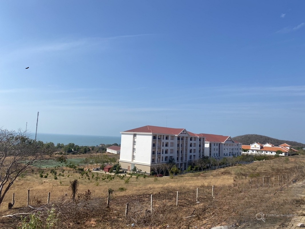 Chi tiết dự án