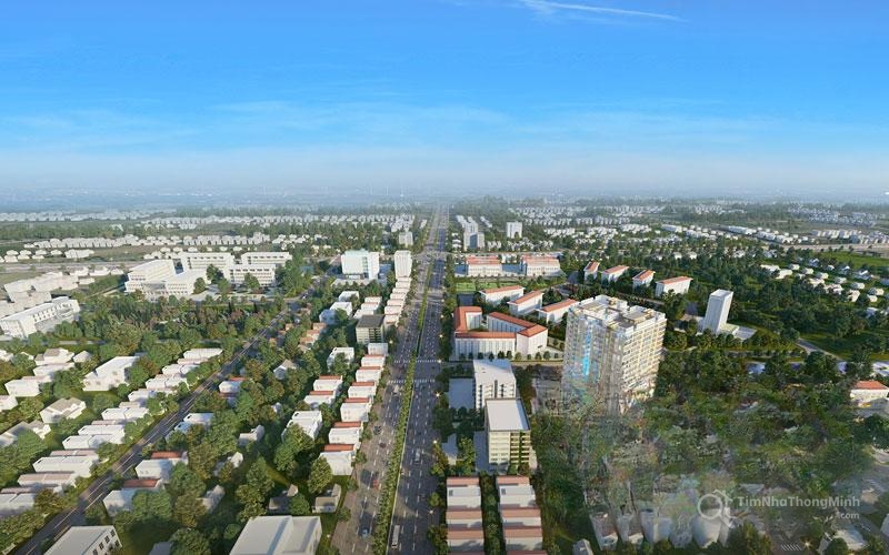 Chi tiết dự án