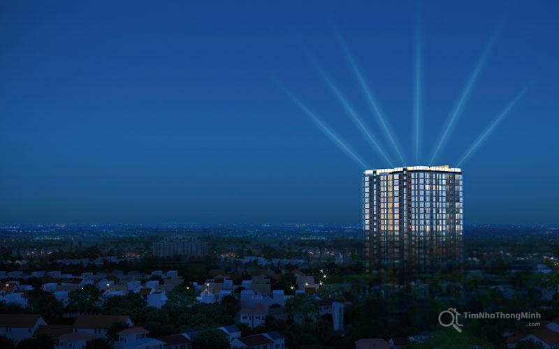Chi tiết dự án