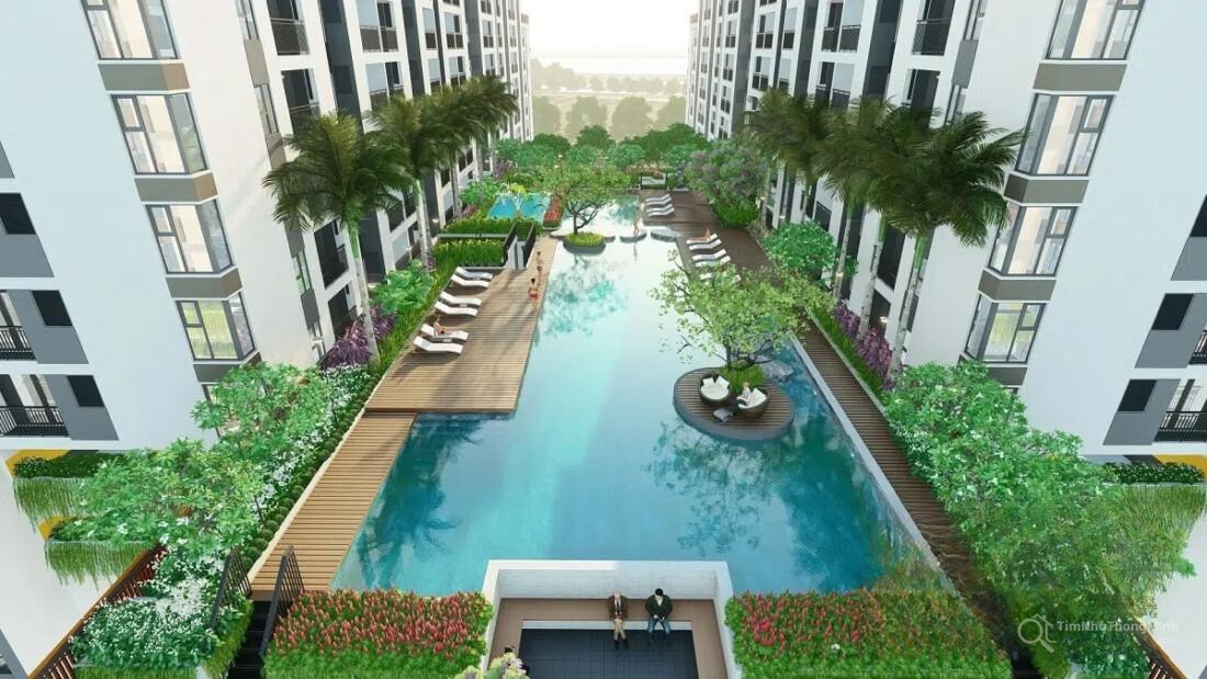 Chi tiết dự án
