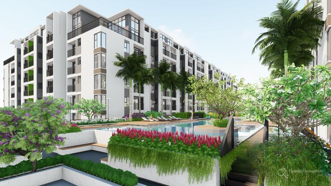 Chi tiết dự án
