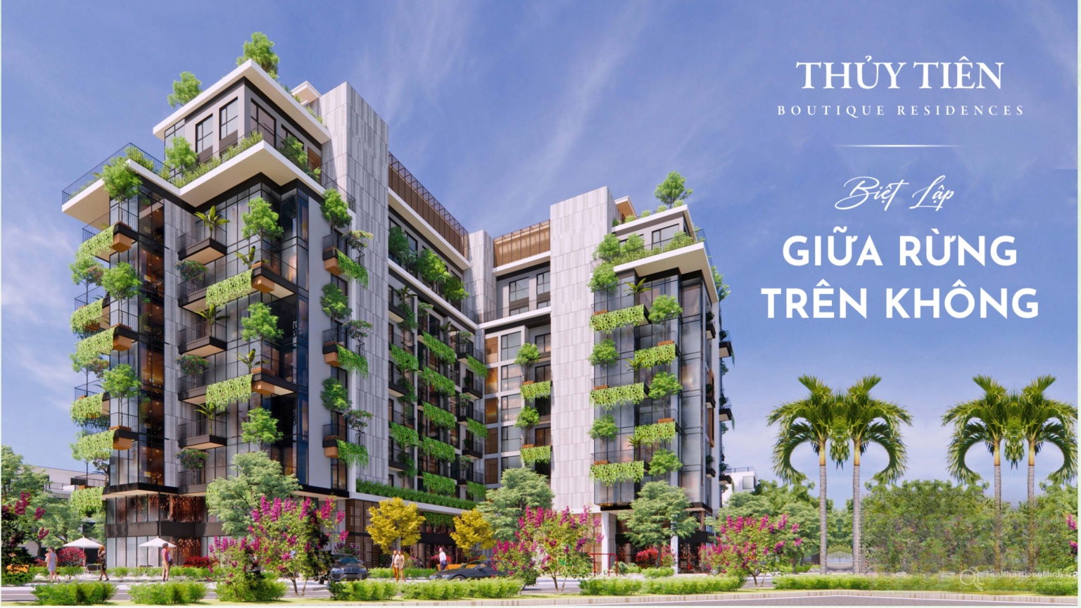 Chi tiết dự án