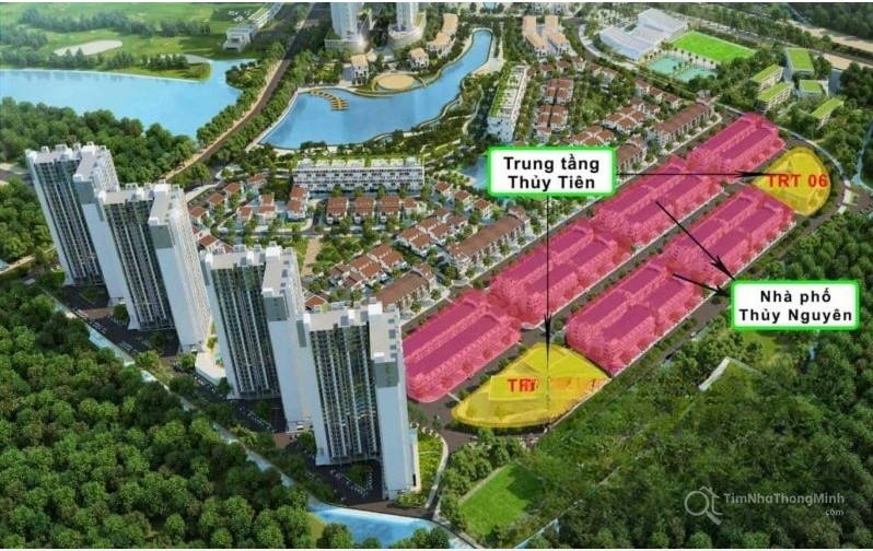 Chi tiết dự án