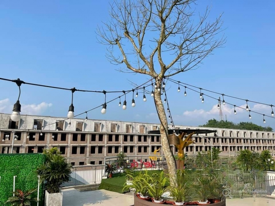 Chi tiết dự án